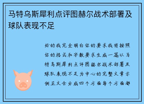 马特乌斯犀利点评图赫尔战术部署及球队表现不足
