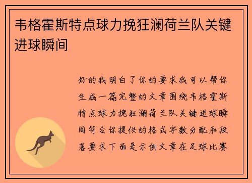 韦格霍斯特点球力挽狂澜荷兰队关键进球瞬间